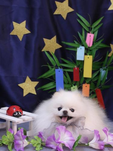 20230707ブブくん